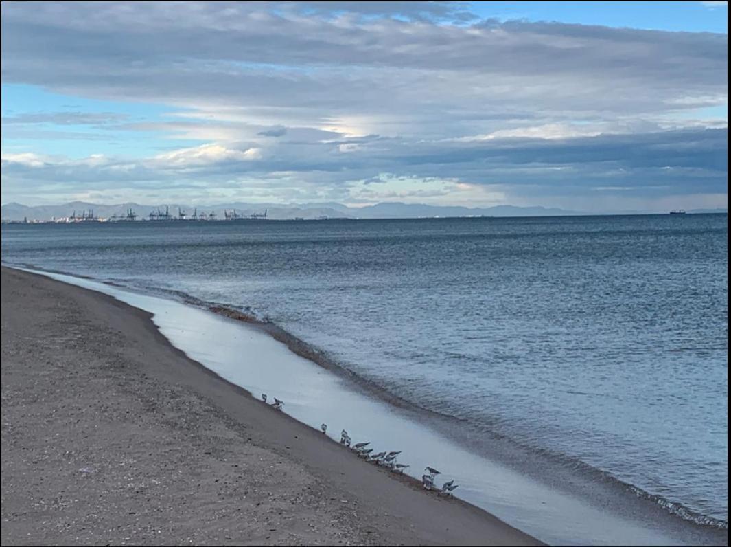 Beach Retreat Valencia Luaran gambar